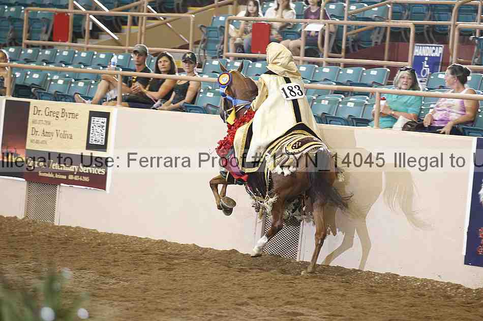 Proof 12yn_14045