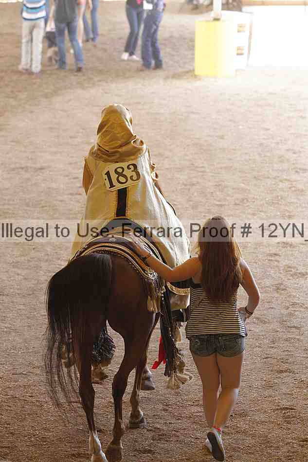 Proof 12yn_14062