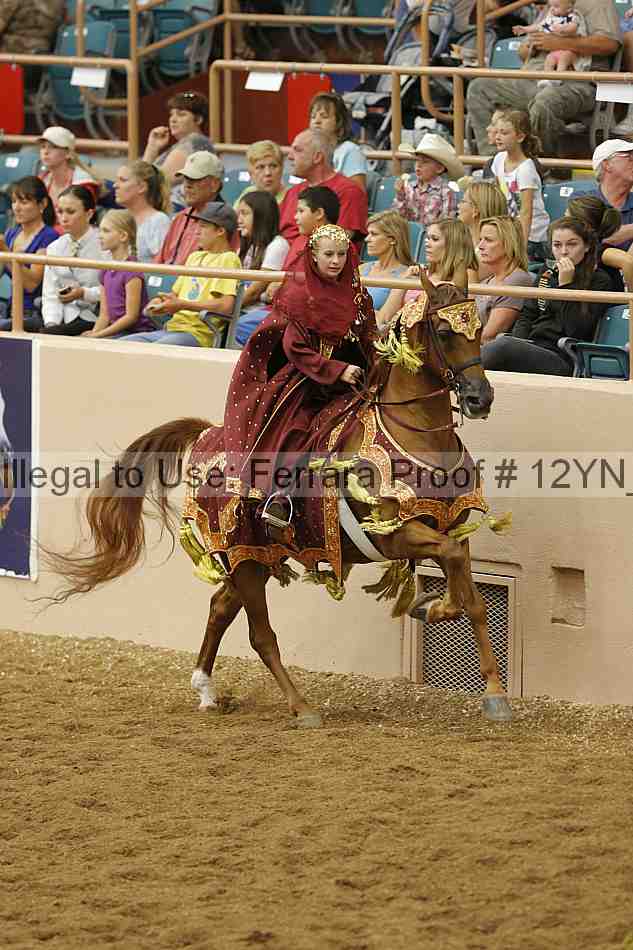 Proof 12yn_11912