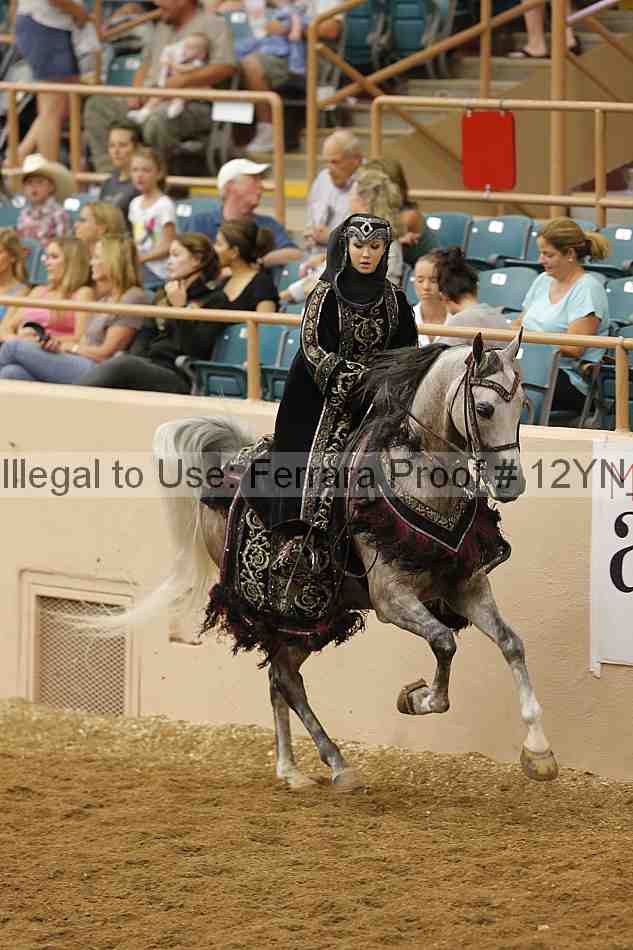 Proof 12yn_11916