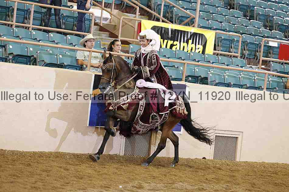 Proof 12yn_11920