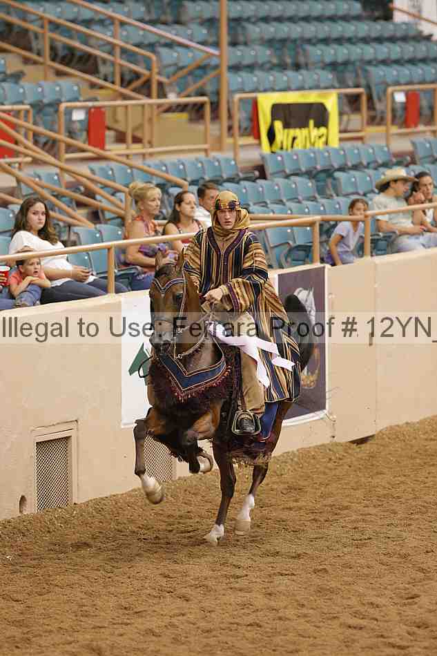 Proof 12yn_11935