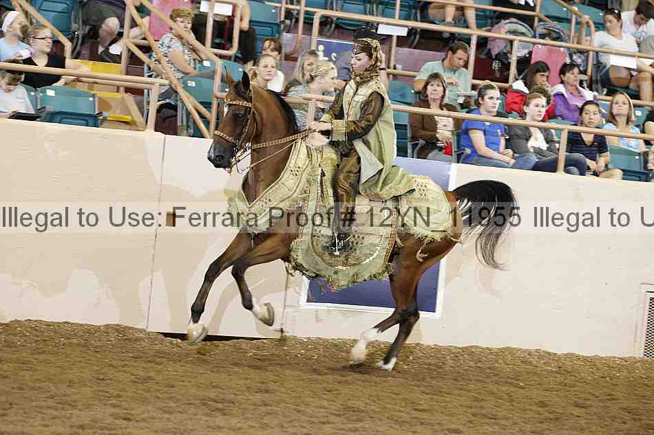 Proof 12yn_11955