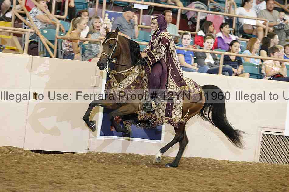 Proof 12yn_11960