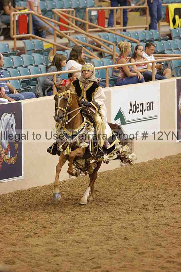 Proof 12yn_11965