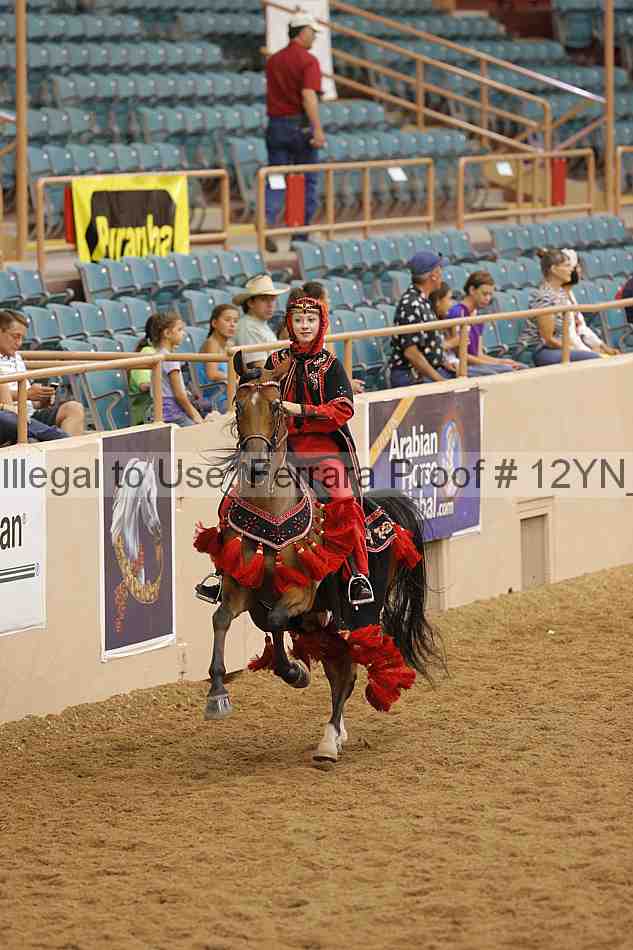 Proof 12yn_11966