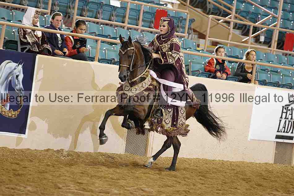 Proof 12yn_11996