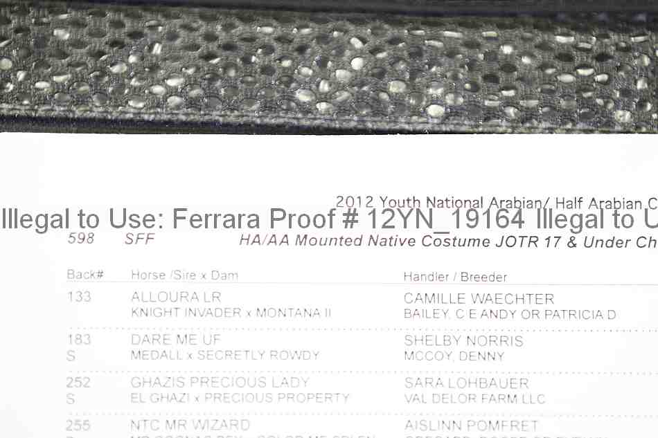 Proof 12yn_19164