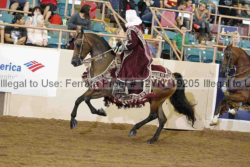 Proof 12yn_19205