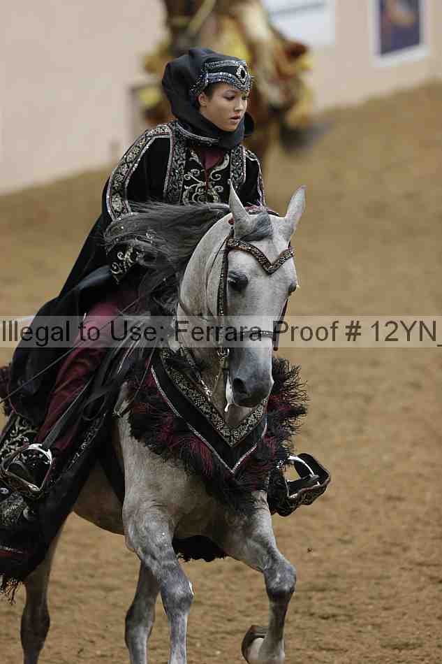 Proof 12yn_19209