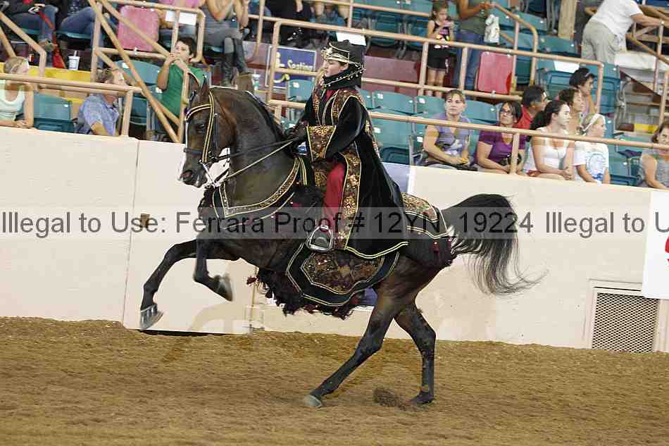 Proof 12yn_19224