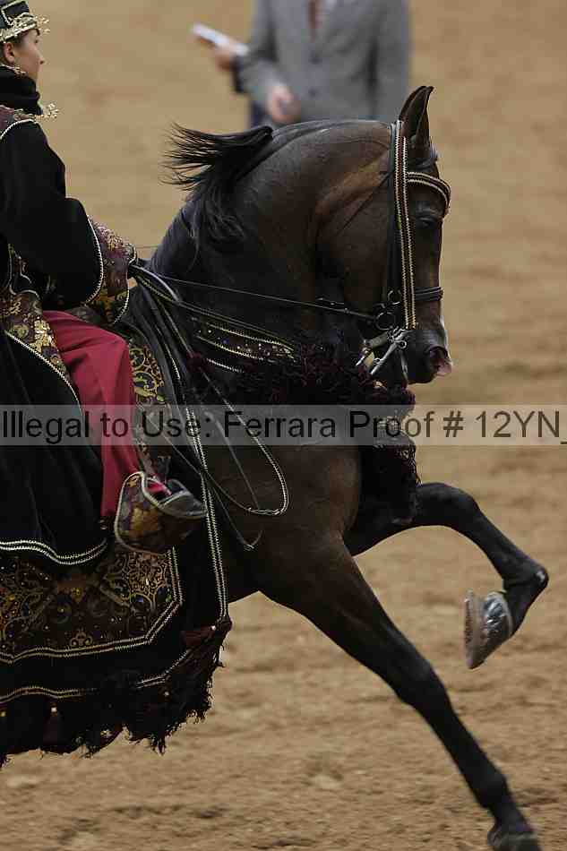 Proof 12yn_19228
