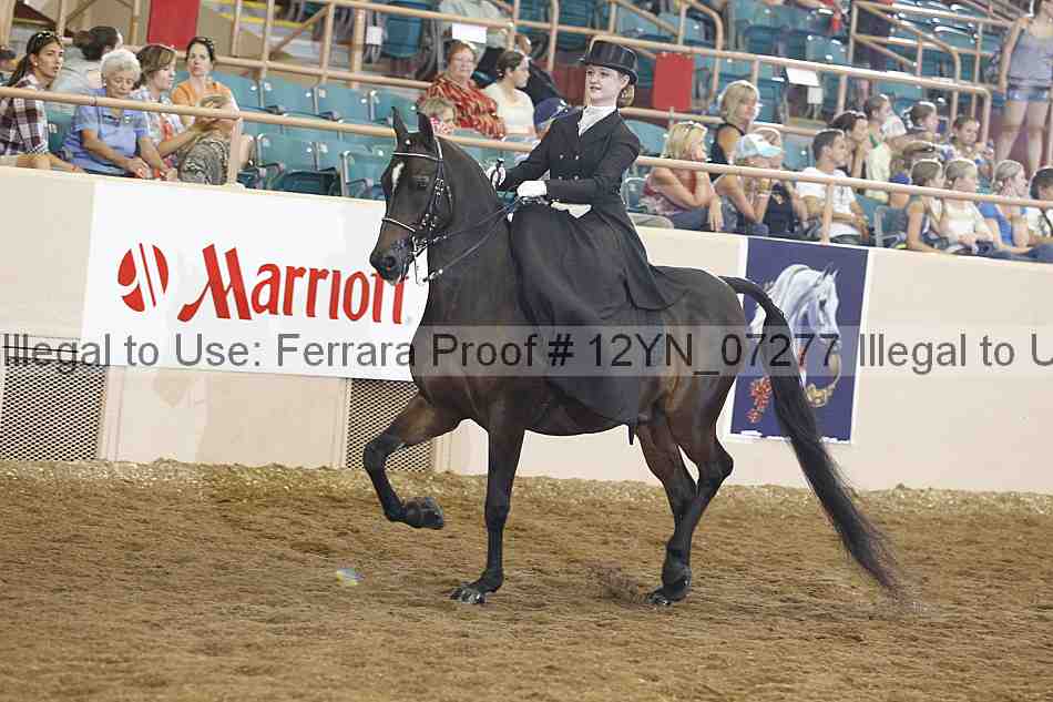 Proof 12yn_07277