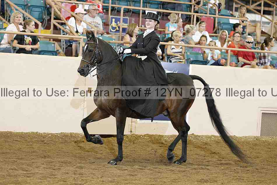 Proof 12yn_07278