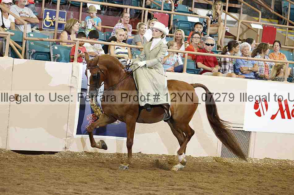Proof 12yn_07279