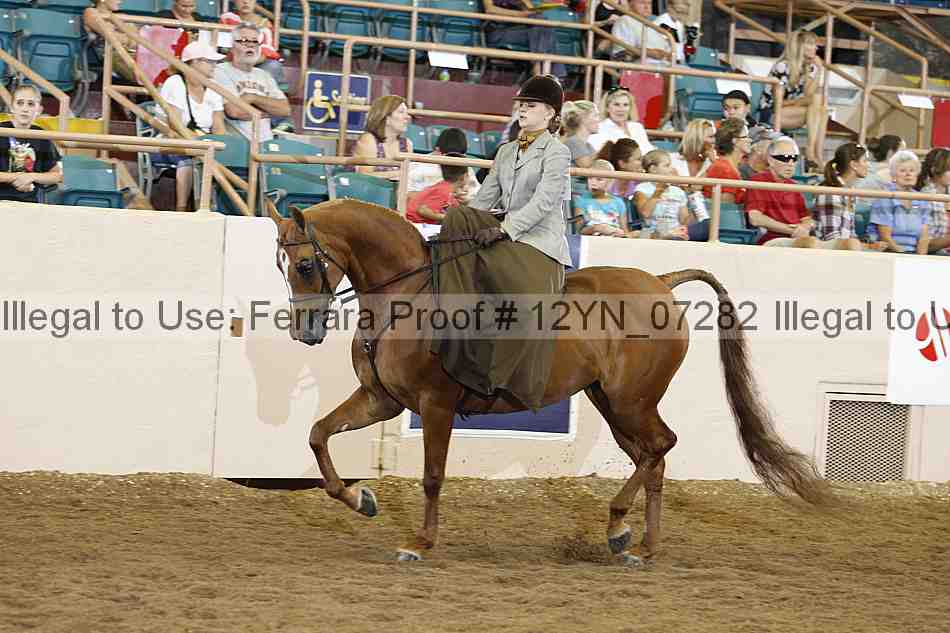 Proof 12yn_07282
