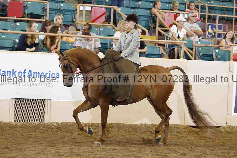 Proof 12yn_07283