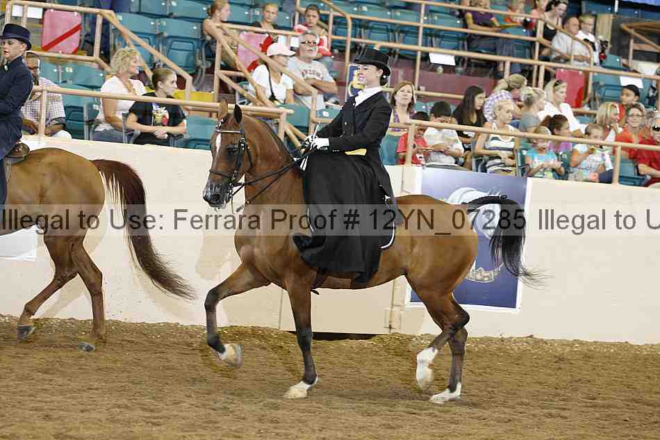 Proof 12yn_07285