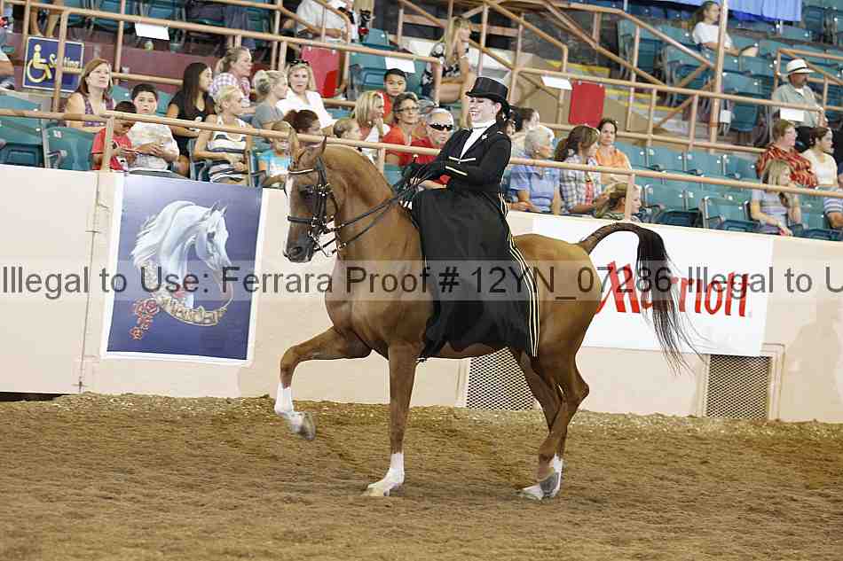 Proof 12yn_07286