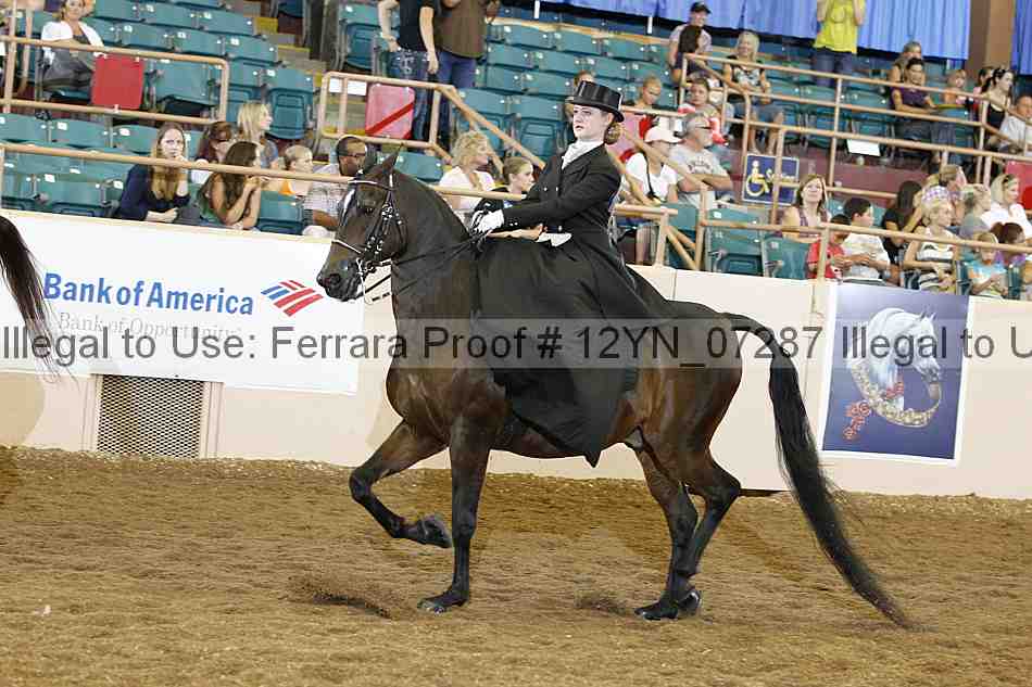 Proof 12yn_07287
