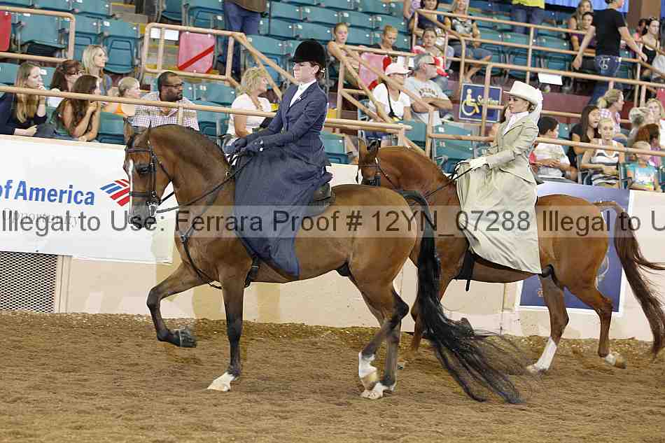 Proof 12yn_07288