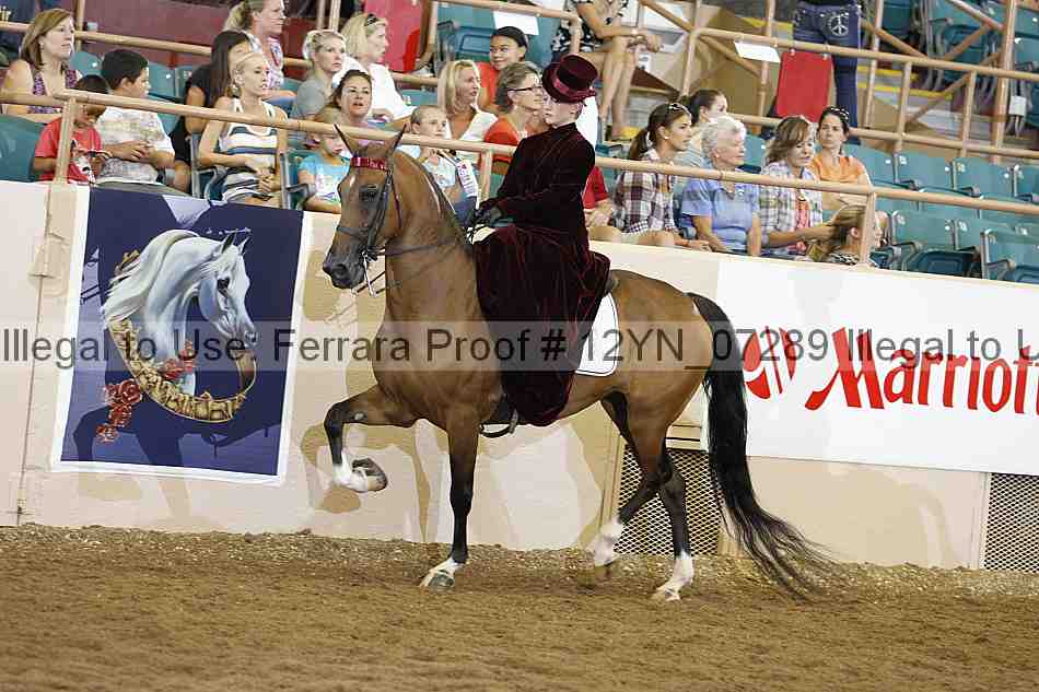 Proof 12yn_07289