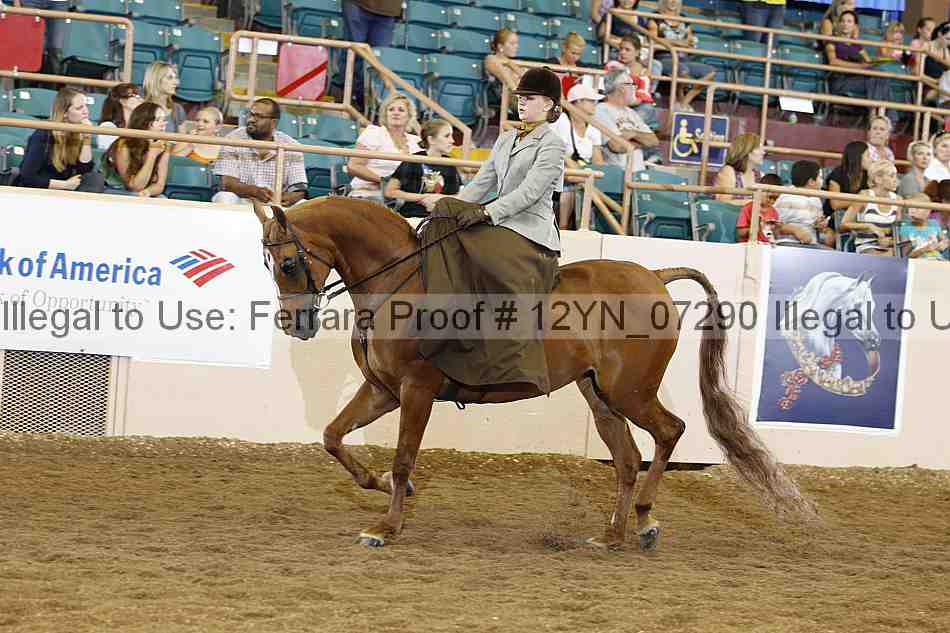 Proof 12yn_07290