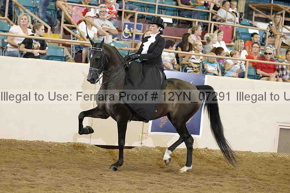 Proof 12yn_07291