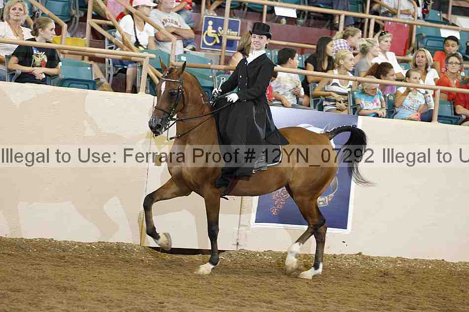 Proof 12yn_07292