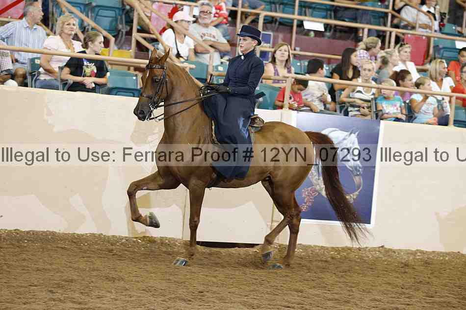 Proof 12yn_07293