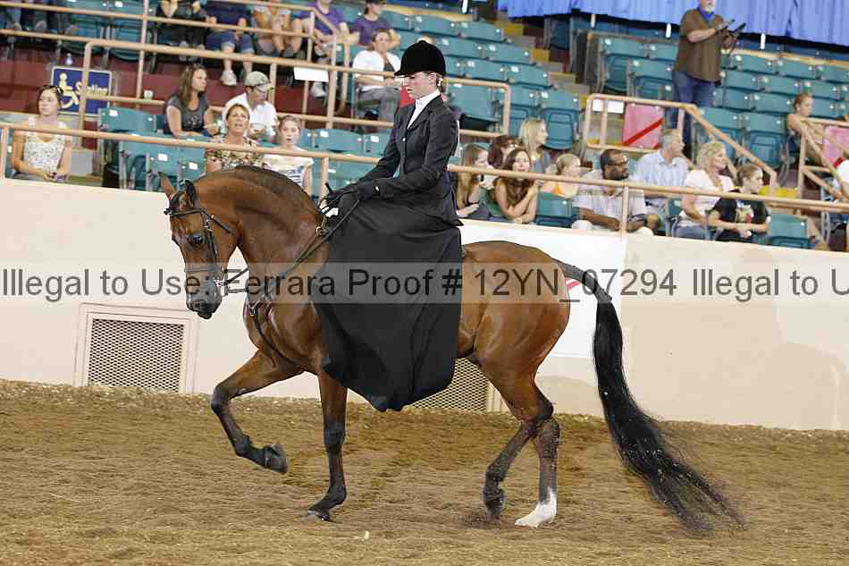 Proof 12yn_07294