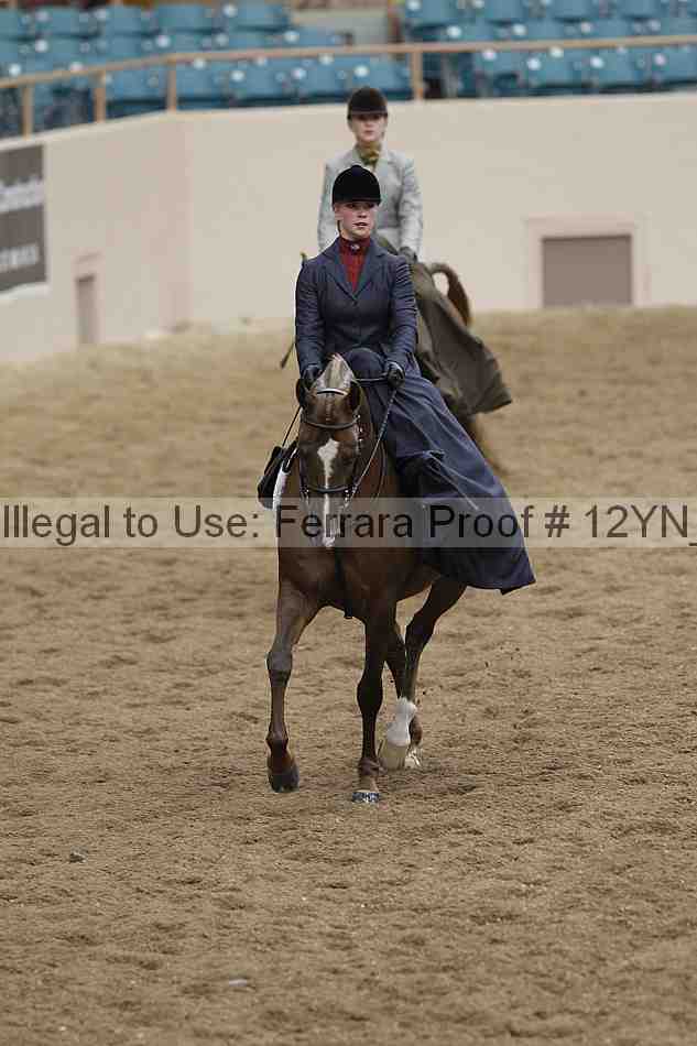 Proof 12yn_07295