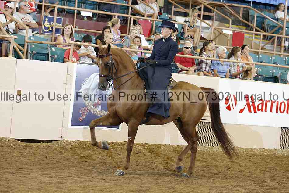 Proof 12yn_07303