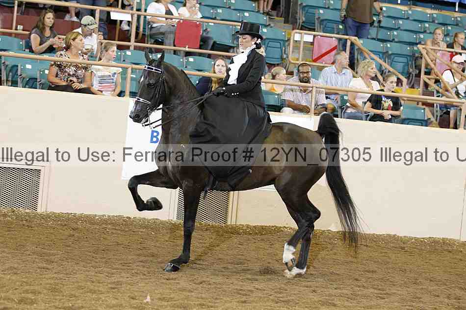 Proof 12yn_07305