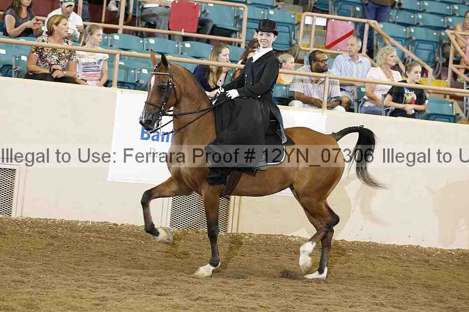 Proof 12yn_07306