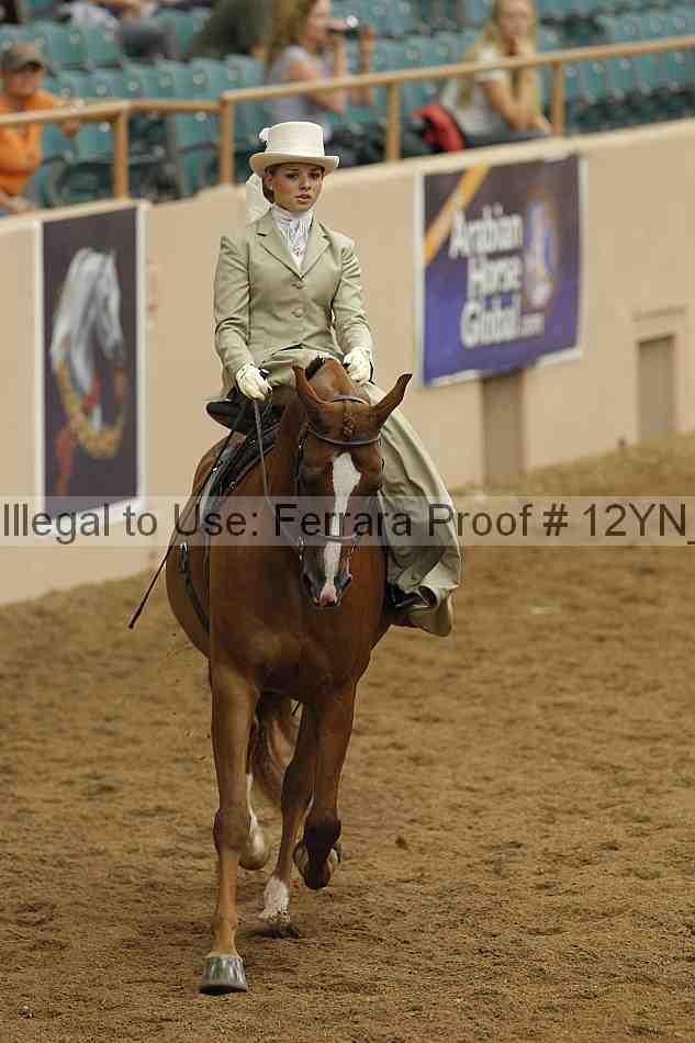 Proof 12yn_07307