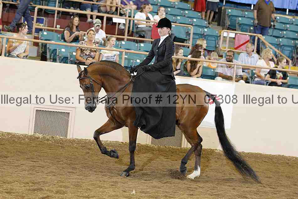Proof 12yn_07308