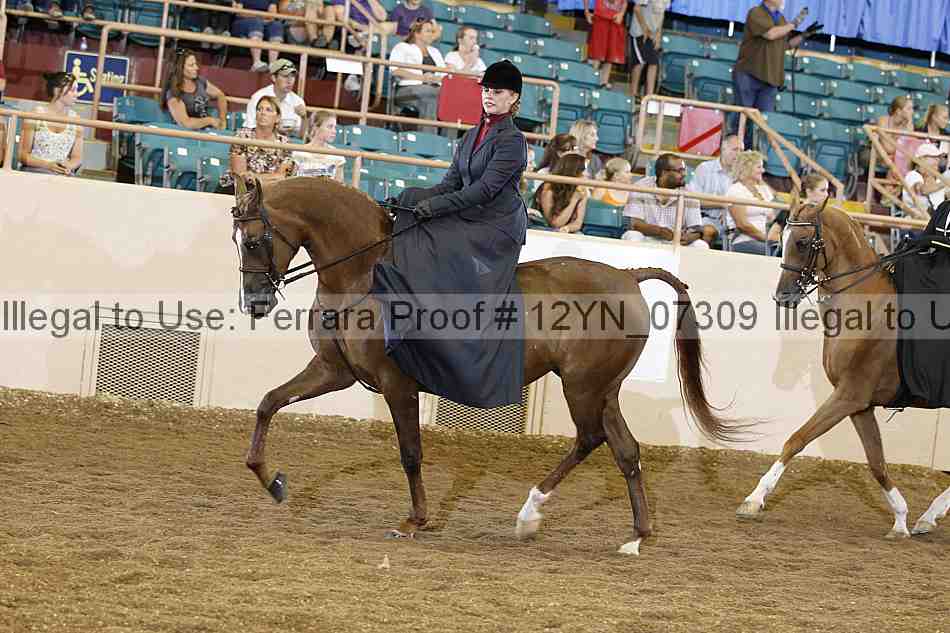 Proof 12yn_07309