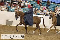 12yn_07309 proof