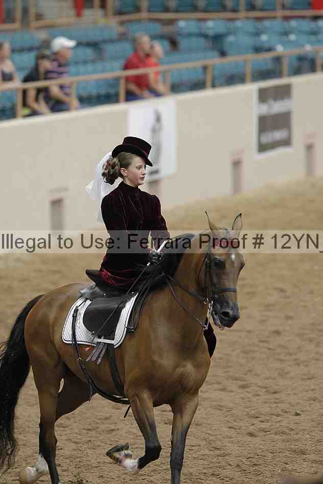 Proof 12yn_07310
