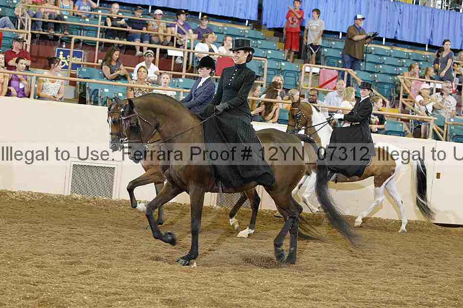 Proof 12yn_07312