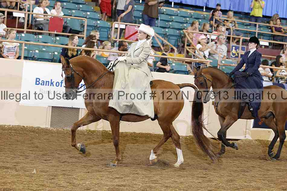 Proof 12yn_07313