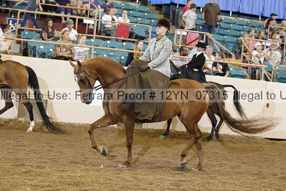 Proof 12yn_07315