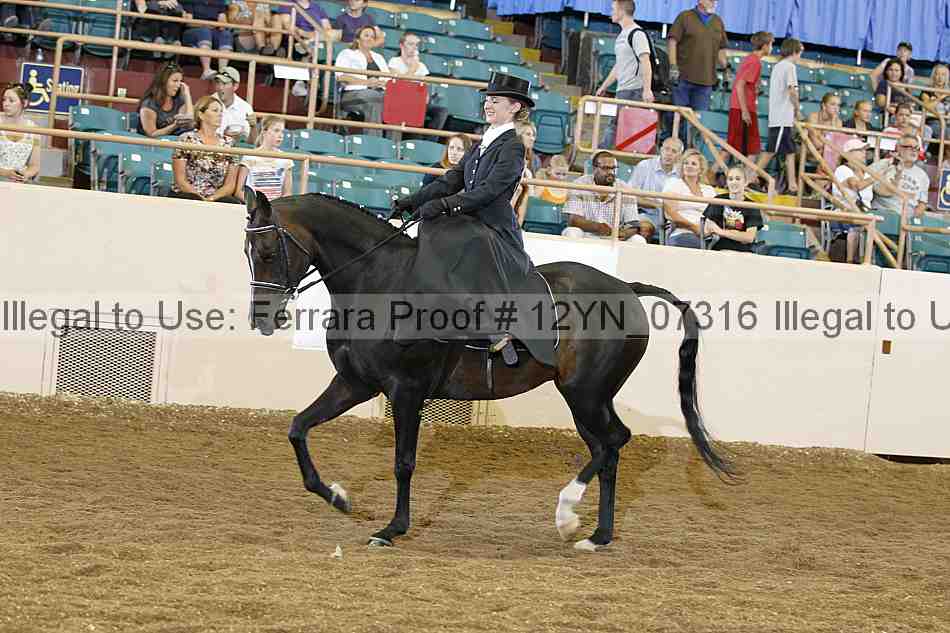 Proof 12yn_07316
