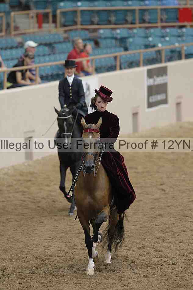 Proof 12yn_07323