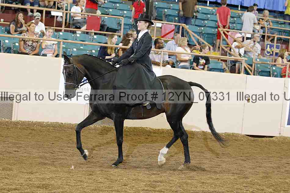 Proof 12yn_07331