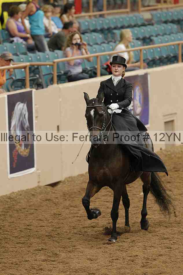 Proof 12yn_07333