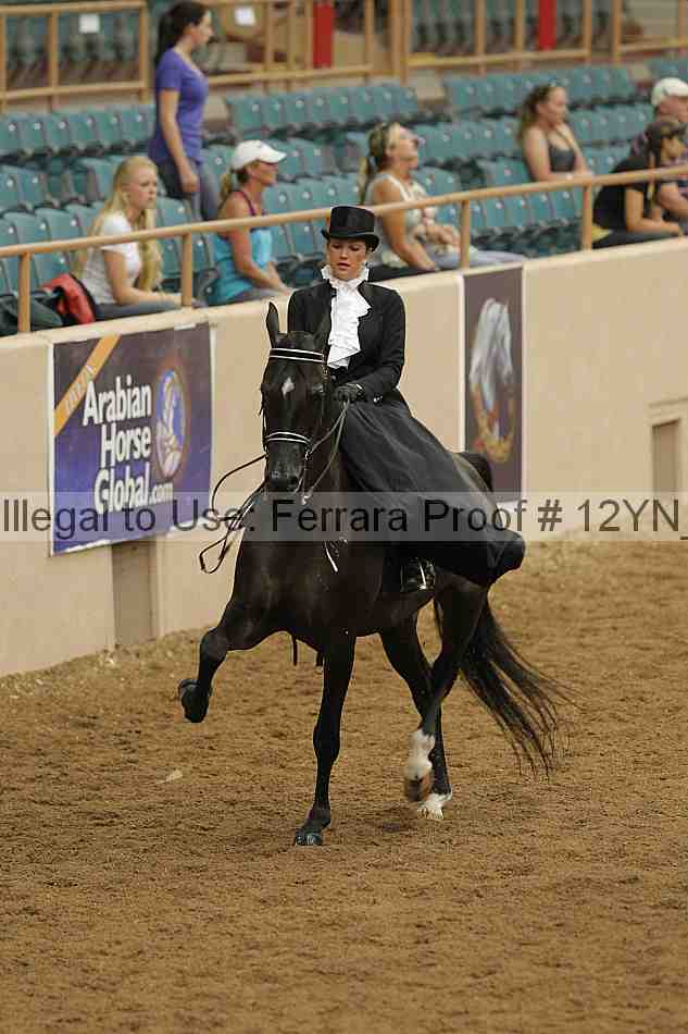 Proof 12yn_07338