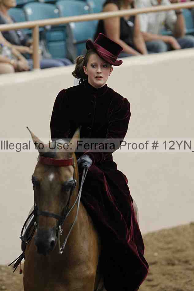 Proof 12yn_07343