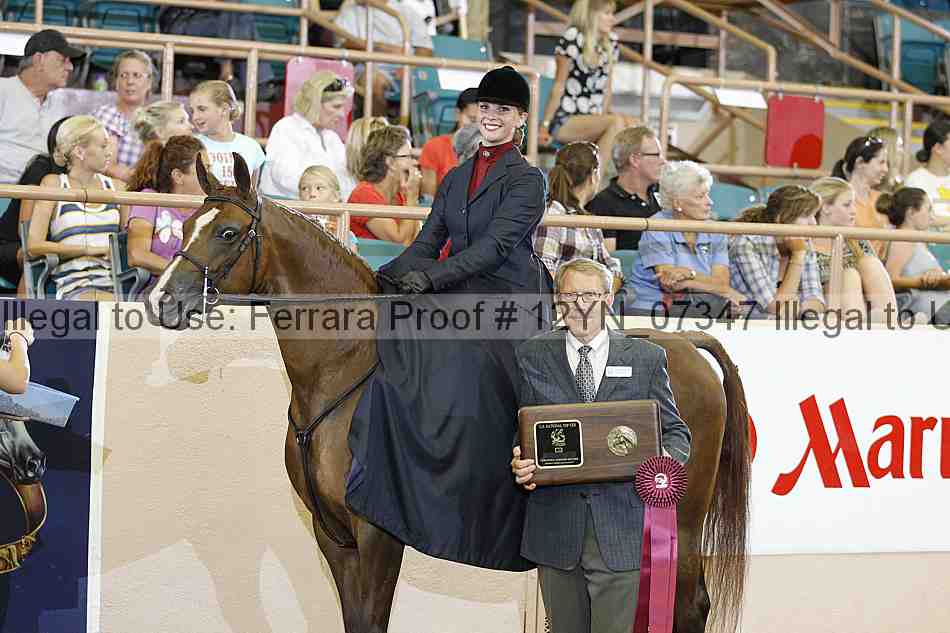 Proof 12yn_07347